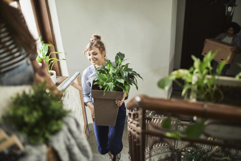 Moving tropical plants